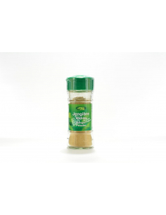 ARTEMIS BIO - JENGIBRE MOLIDO ECO TARRO 25 GRS.