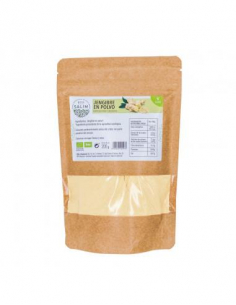 Ecosalim - JENGIBRE EN POLVO BIO 200 GRS. ECO-SALIM