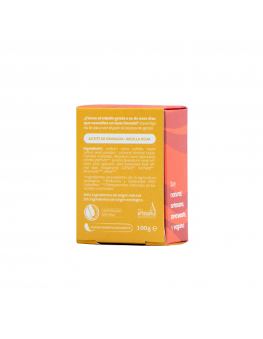 Biobel - ESSABÓ CHAMPU PURIFICANTE 100 GRS.
