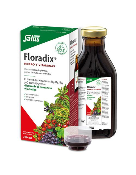 Salus - FLORADIX 250 ML