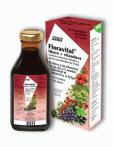 JARABE FLORAVITAL 250 ML