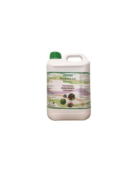 Castalia - CASTALIA JABON NEGRO 5 L. (REF.2405)