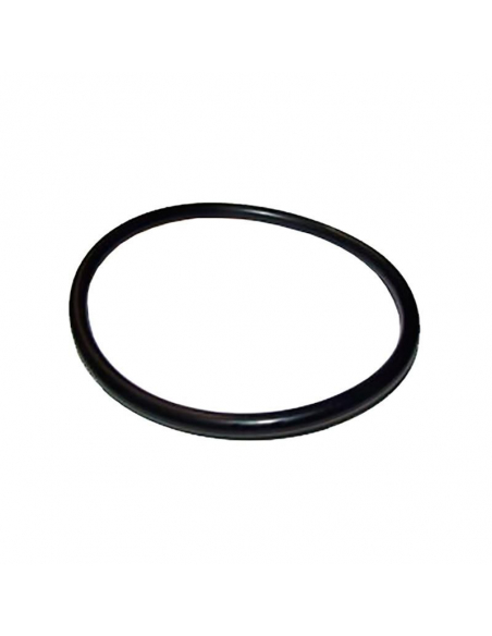 Irisana - JUNTA TORICA CABEZAL ECODUCHA 72.IR15.5