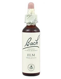 BACH Nº 11 OLMO / ELM 20 ML
