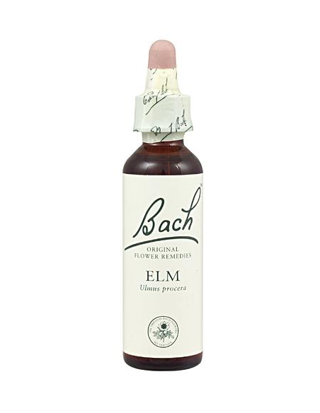 Bach - BACH Nº 11 OLMO / ELM 20 ML