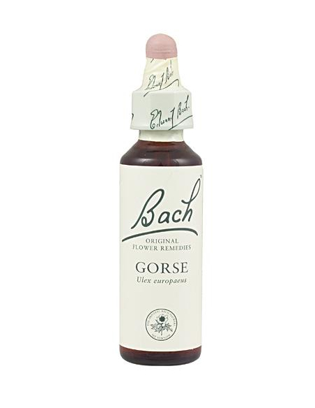 Bach - BACH Nº 13 AULAGA / GORSE 20 ML