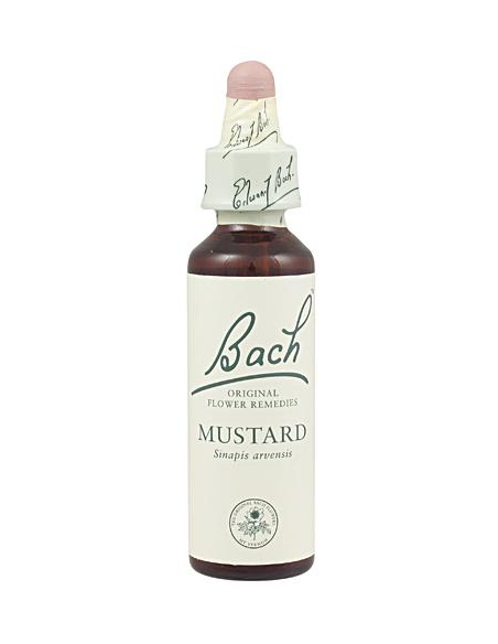 Bach - BACH Nº 21 MOSTAZA / MUSTARD 20 ML