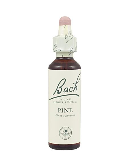 Bach - BACH Nº 24 PINE / PINO 20 ML