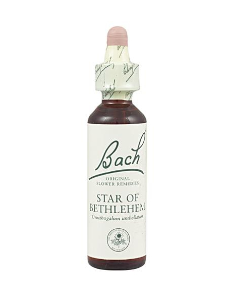Bach - BACH Nº 29 LECHE  GALLINA/STAR OF BETHLEHEM 20 ML