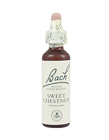 Bach - BACH Nº 30 CASTAÑO DULCE/ SWEETCHESNUT 20 ML