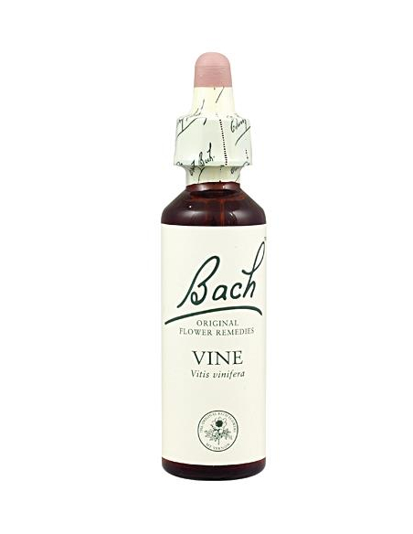 Bach - BACH Nº 32 VID / VINE 20 ML