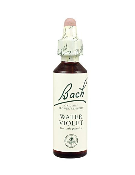 Bach - BACH Nº 34 VIOLETA  AGUA/WATER VIOLET 20 ML