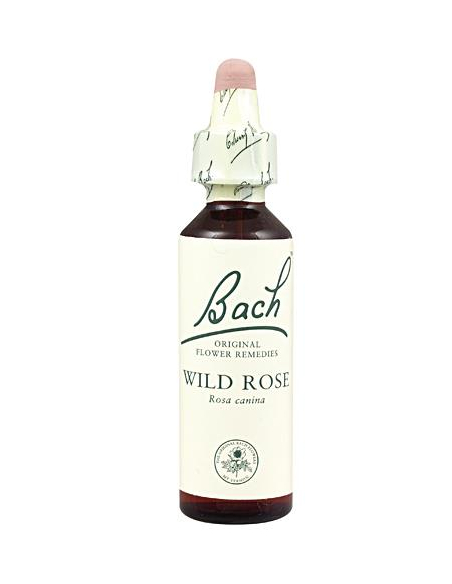 Bach - BACH Nº 37 ROSA SILVESTRE/WILD ROSE 20 ML